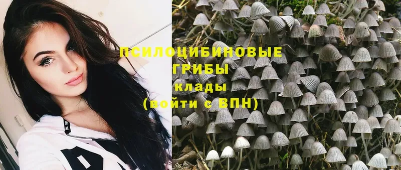 Галлюциногенные грибы Magic Shrooms Завитинск